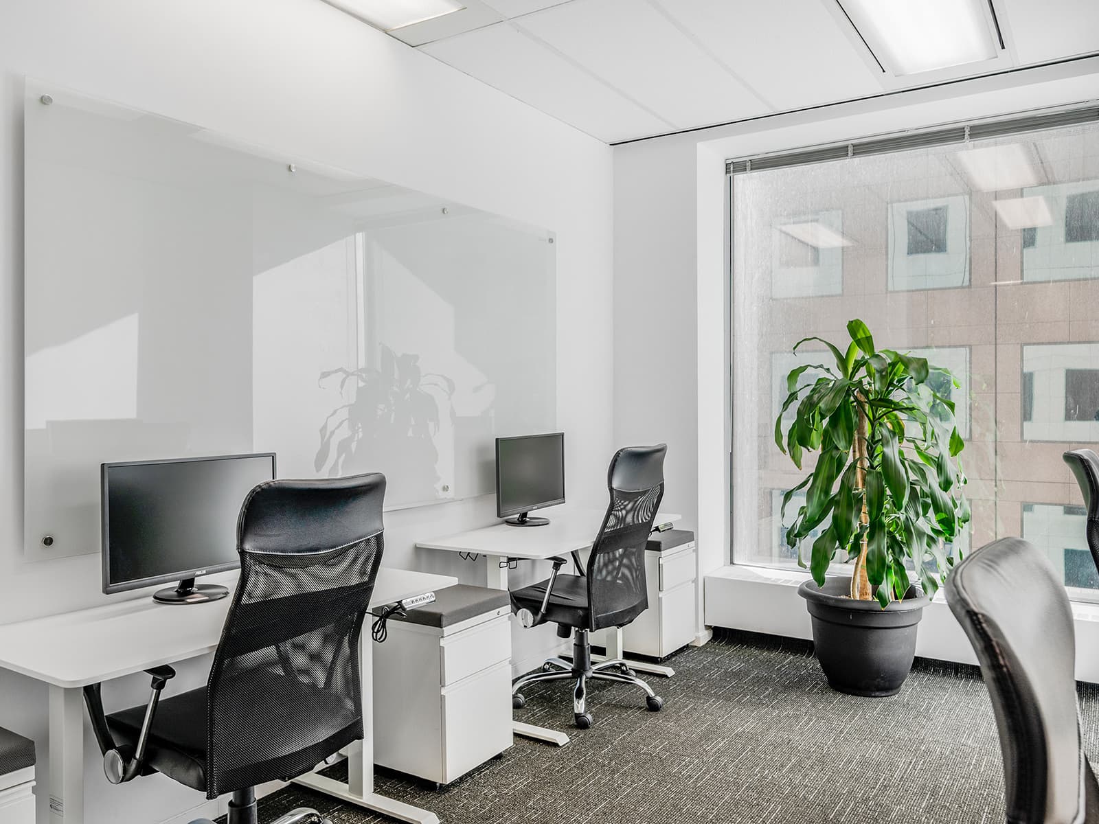 Flexday Suites - 20 Bay Street - Image 3