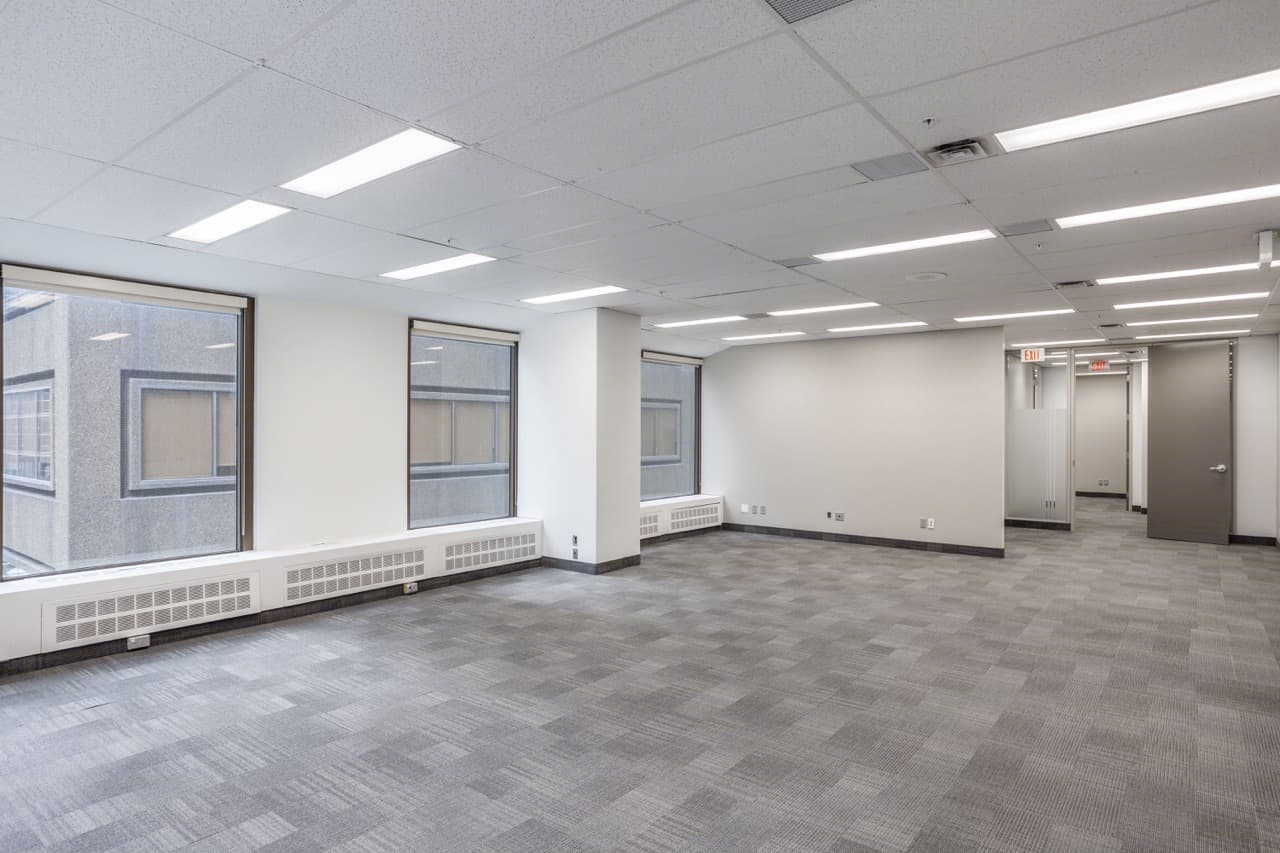 _1_FADI1608 Large.jpeg