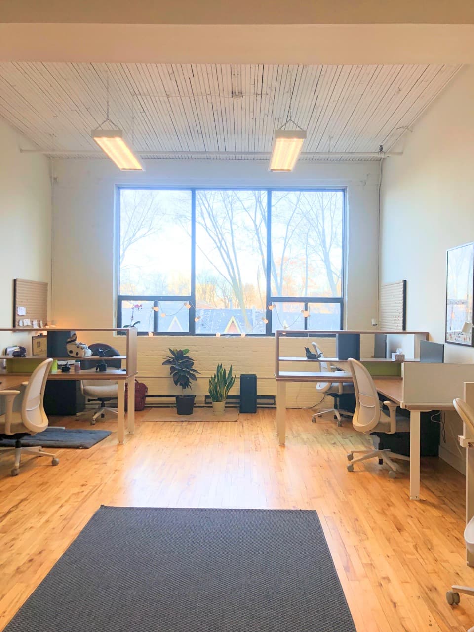 edd7e38c-070e-4869-a07b-447766257702 Large.jpeg