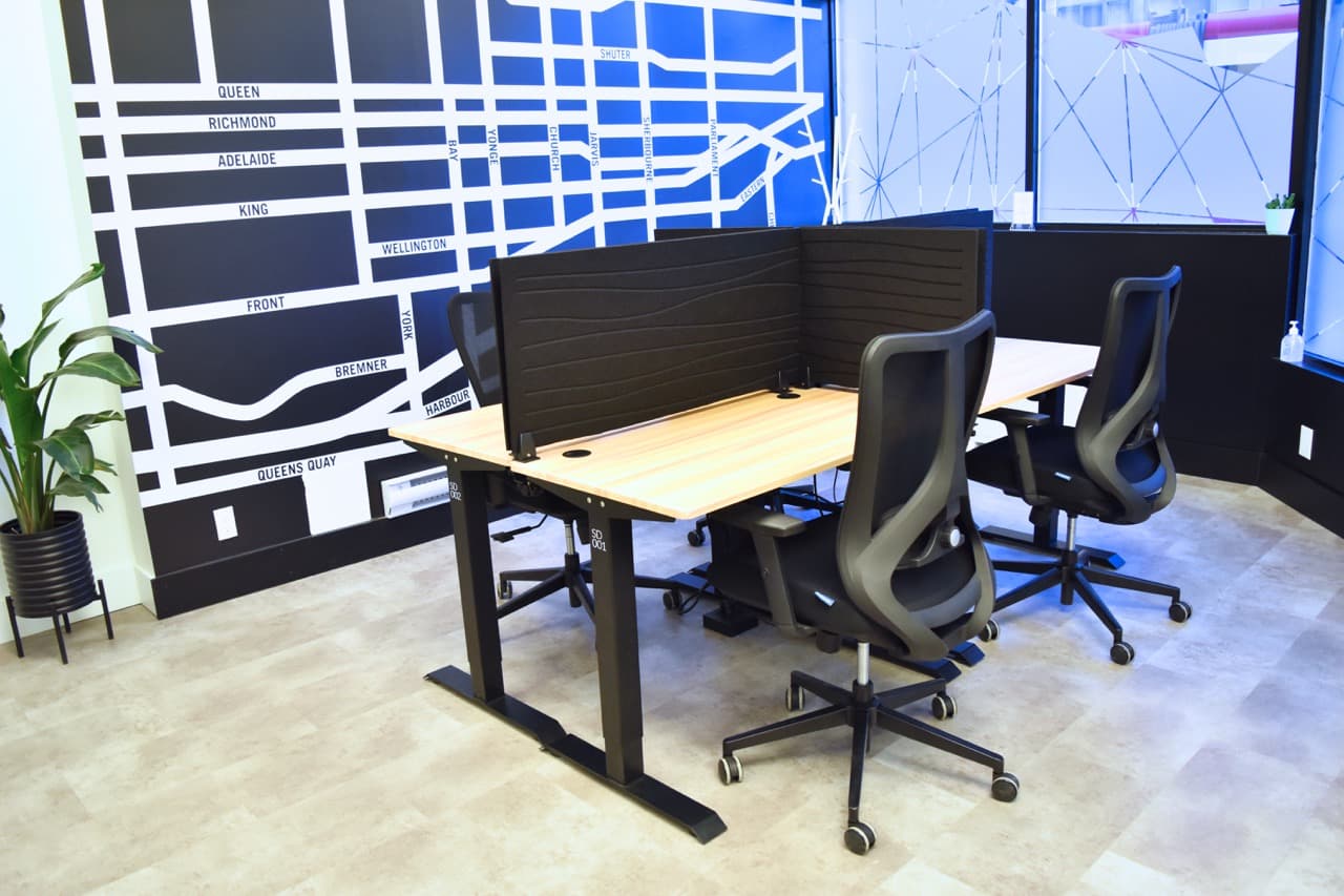 DSC_0210 - Edited Large.jpeg