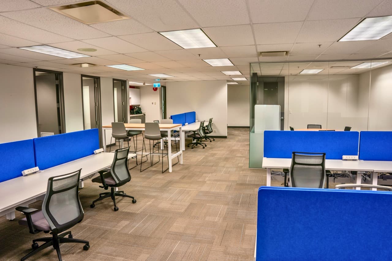 _DSC9309 - Edited Large.jpeg