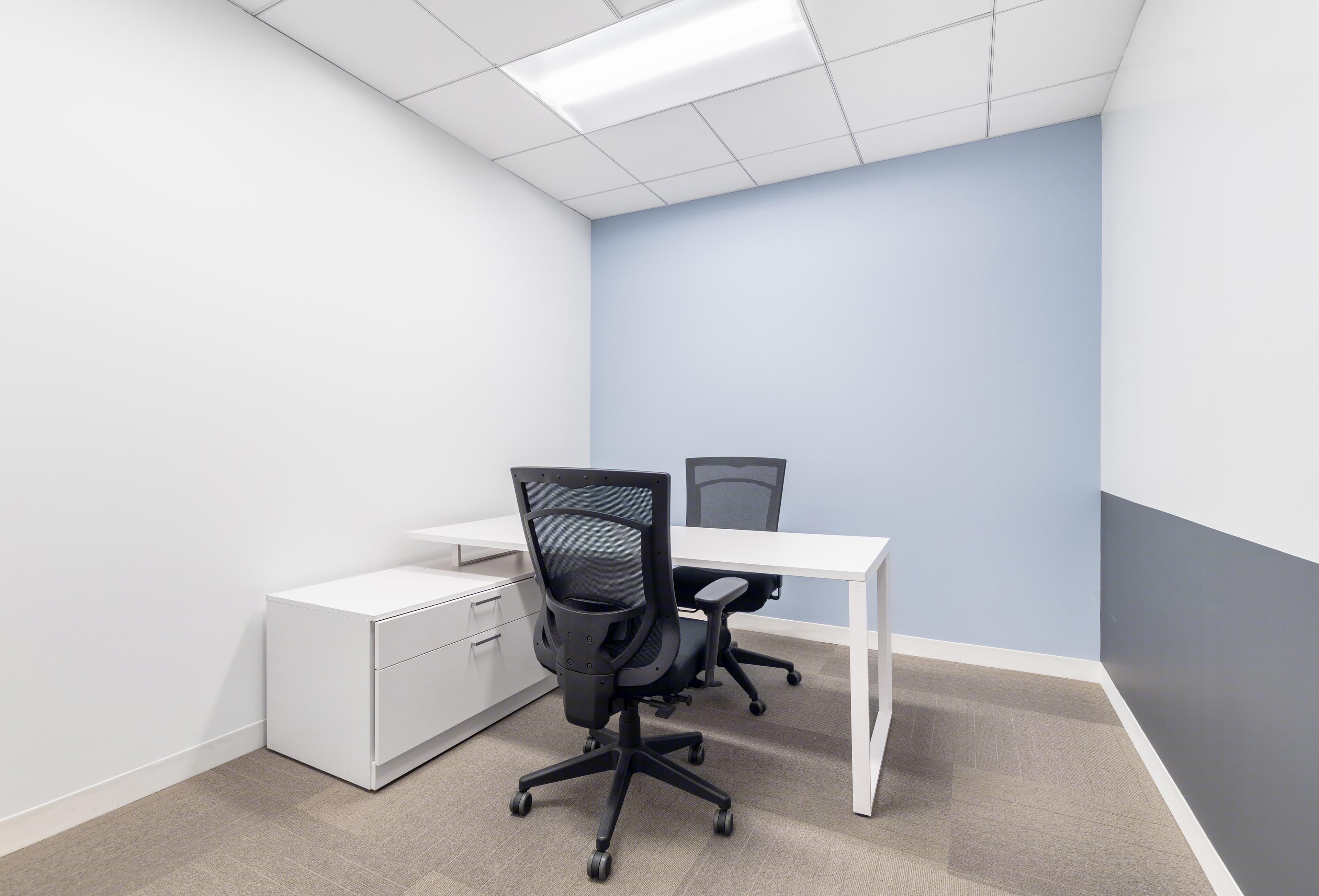 Flexday Suites - 200 W Madison, Suite 2050 - Image 4