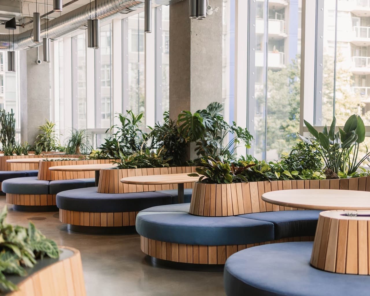 ancdocommon Large.jpeg